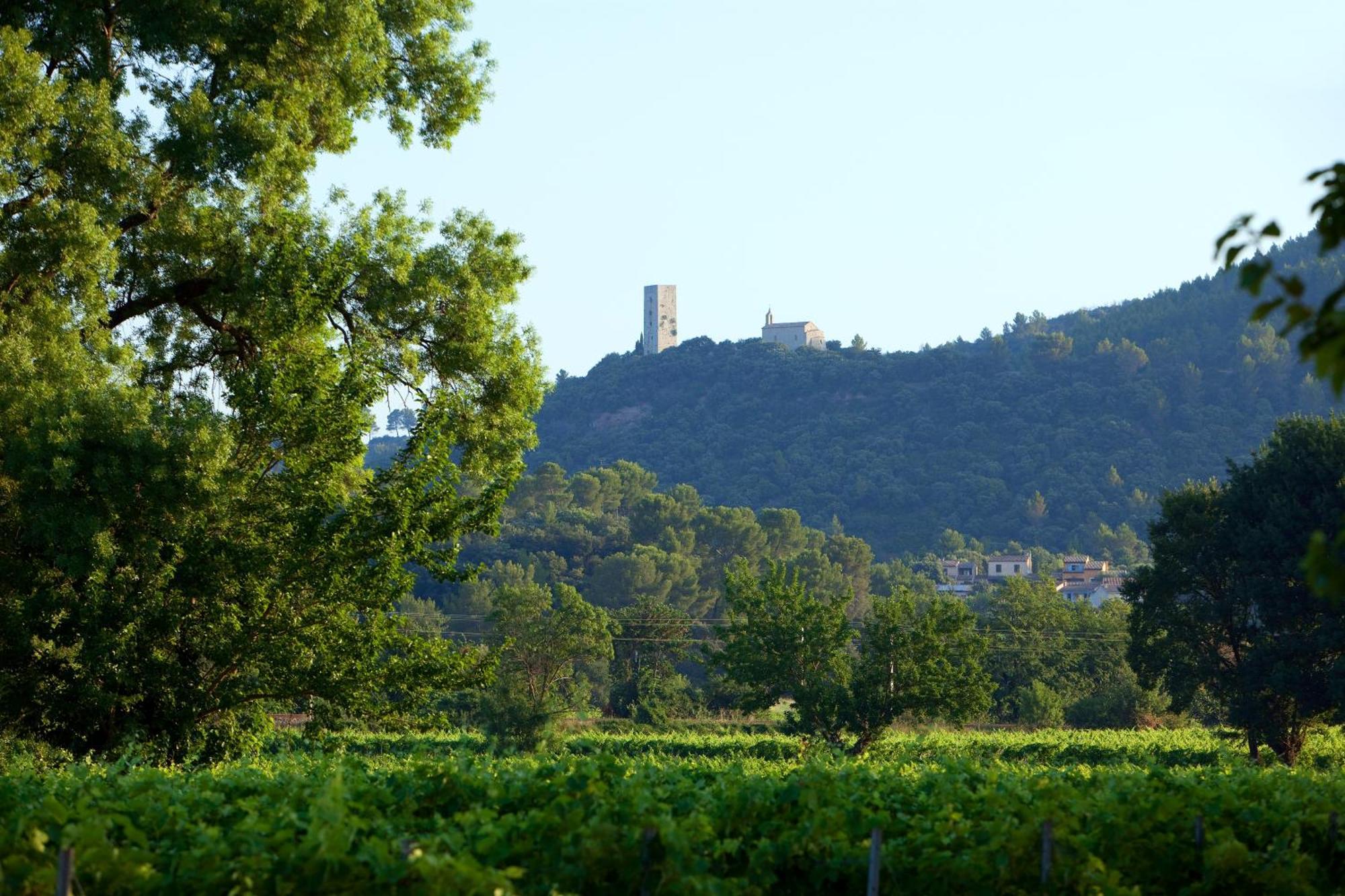 Chateau de Saint Martin Taradeau Exterior foto