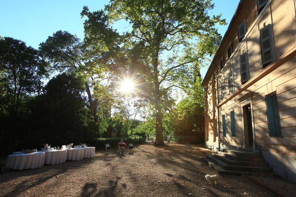 Chateau de Saint Martin Taradeau Exterior foto